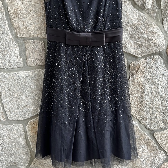 Ann Taylor Party Dress Sequins with Mesh Neckline with Tulle Sequins Body - Picture 8 of 12